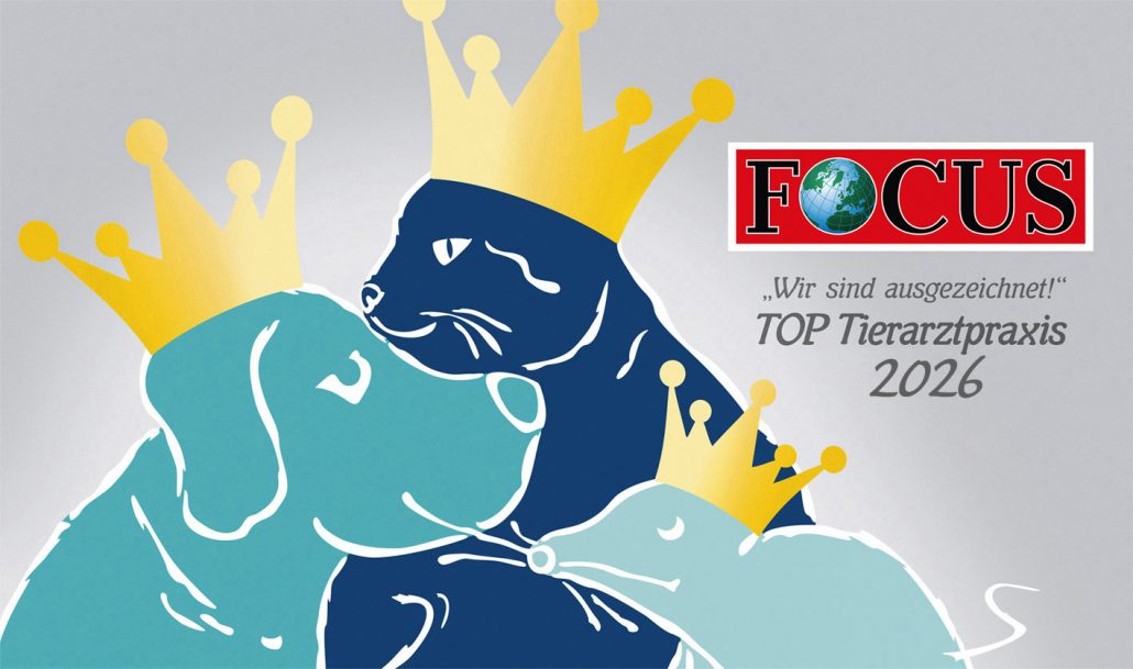 2026-deutschland_focus_top_tierarztpraxis
